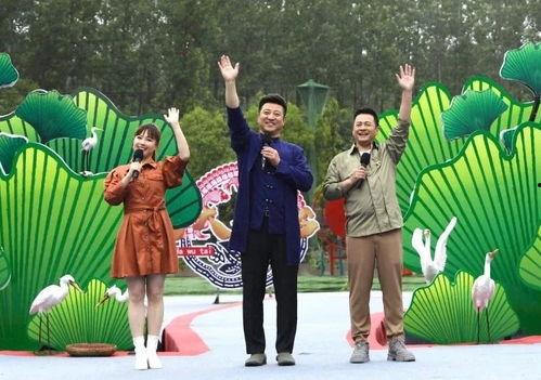 天涯最新爆料坠机案视频,坠机案最新视频曝光，真相渐浮水面